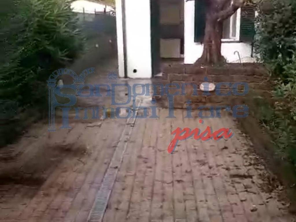 casa indipendente in affitto a Pisa in zona Putignano