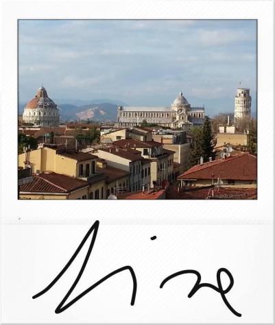 appartamento in affitto a Pisa