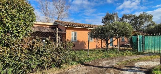 casa indipendente in affitto a Pisa in zona Ospedaletto