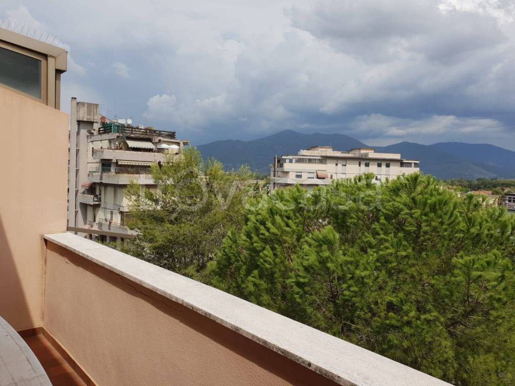 appartamento in affitto a Pisa