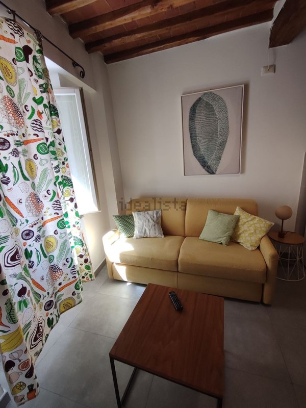 appartamento in affitto a Pisa in zona Quartiere Santa Maria