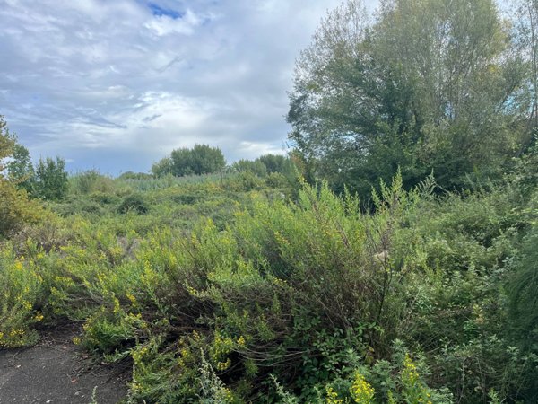 ufficio in affitto a Pisa