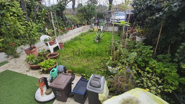 casa indipendente in affitto a Pisa in zona Porta Nuova