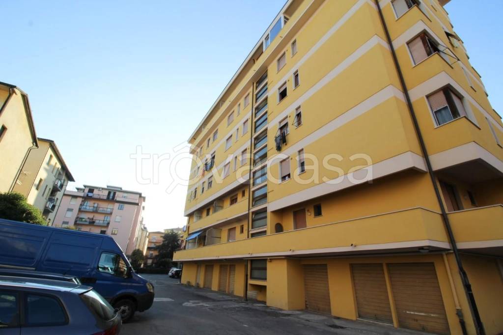 appartamento in affitto a Pisa in zona Pratale / Don Bosco