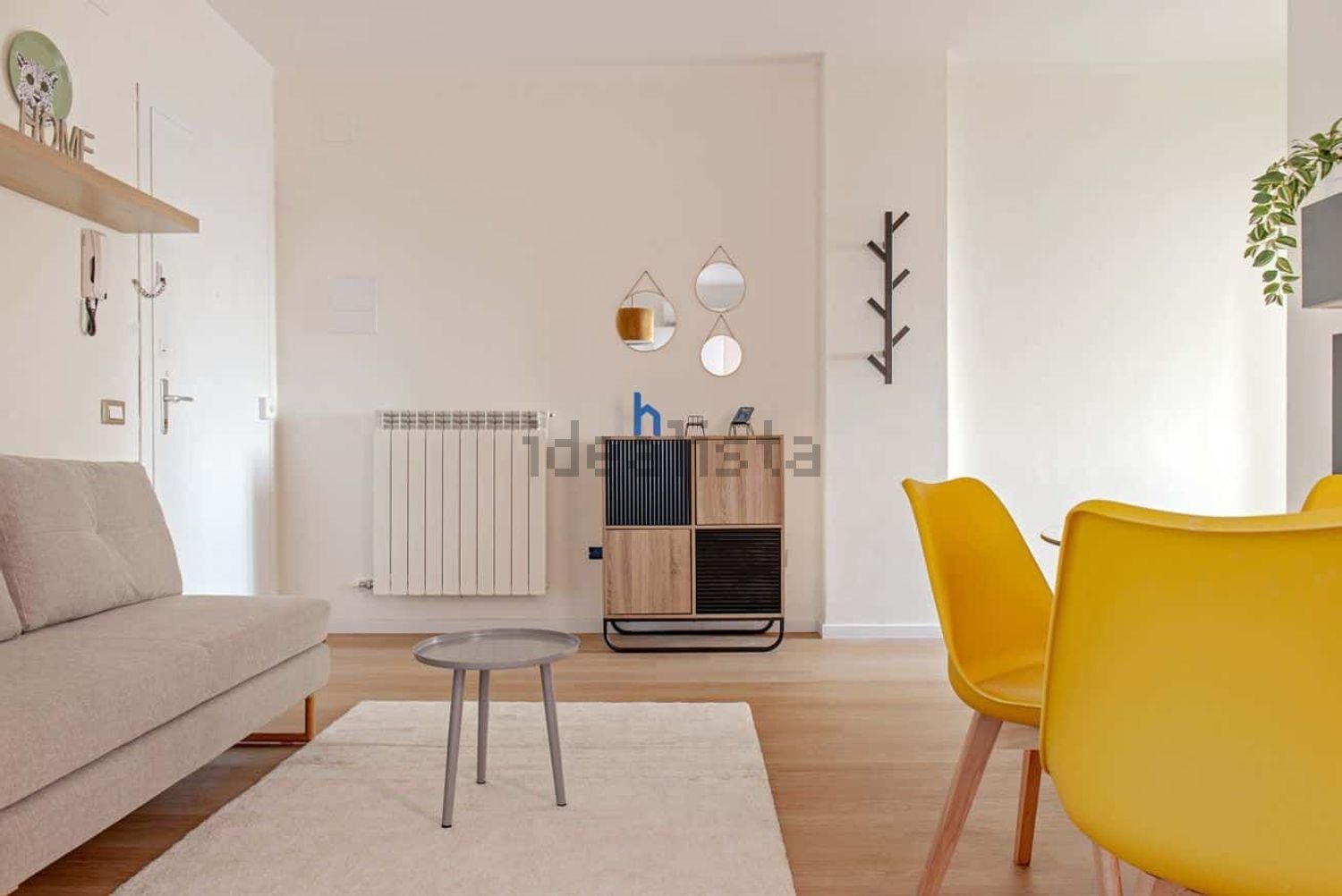 appartamento in affitto a Pisa