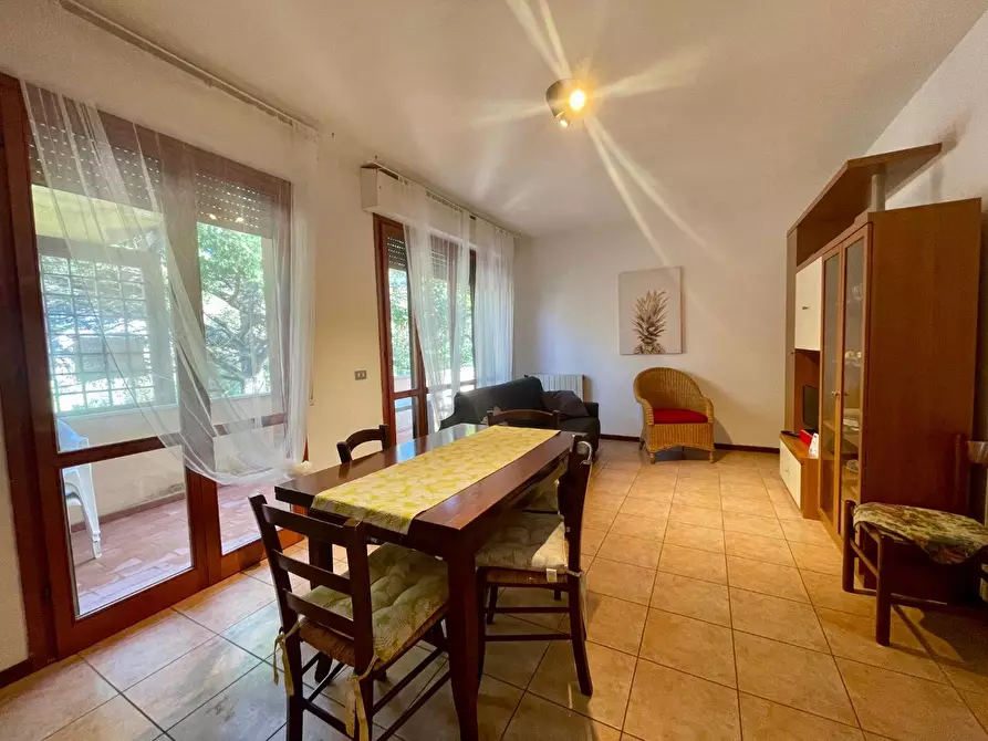 appartamento in affitto a Pisa in zona Centro Storico