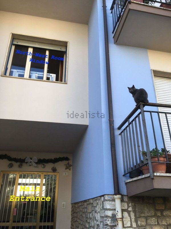 appartamento in affitto a Pisa in zona Centro Storico