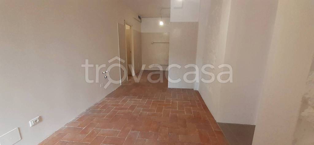negozio in affitto a Pisa in zona Quartiere San Martino