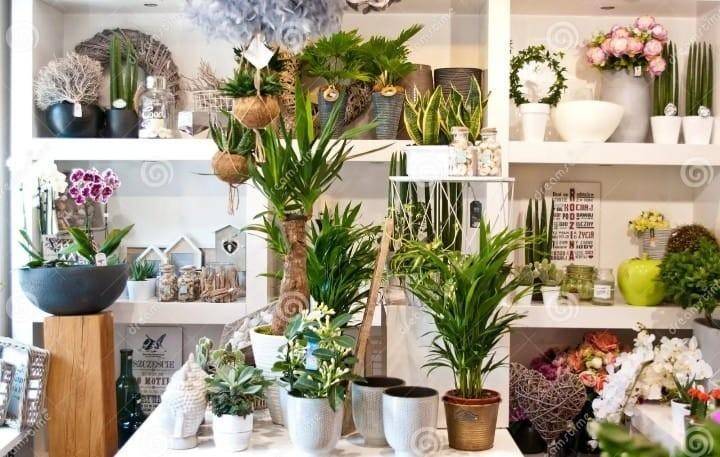 negozio in affitto a Pisa