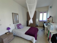 appartamento in affitto a Pisa