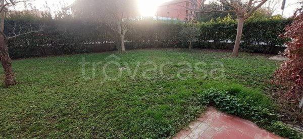 appartamento in affitto a Pisa in zona Cisanello