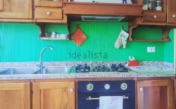 appartamento in affitto a Pisa