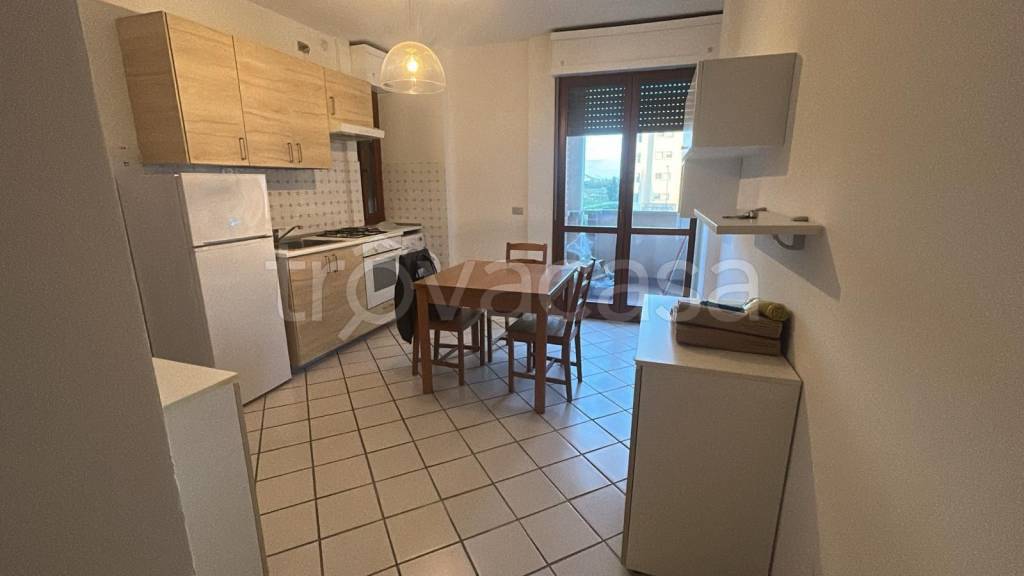 appartamento in affitto a Pisa in zona Cisanello