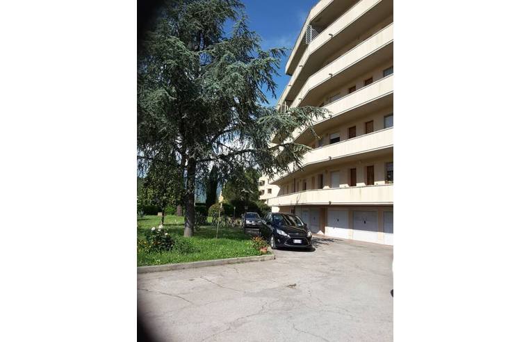 appartamento in affitto a Pisa