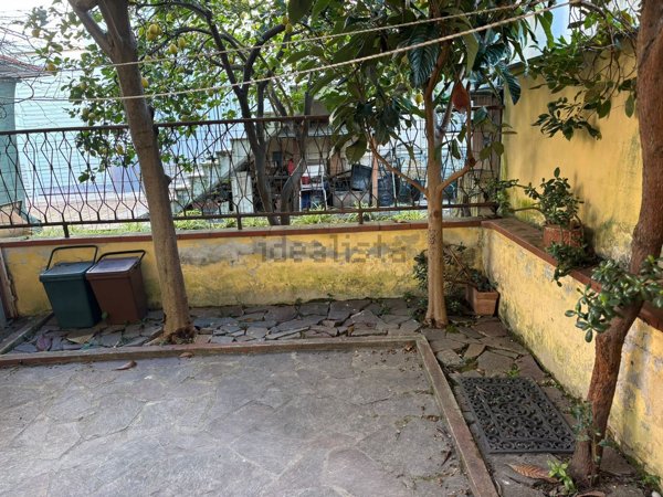 appartamento in affitto a Pisa