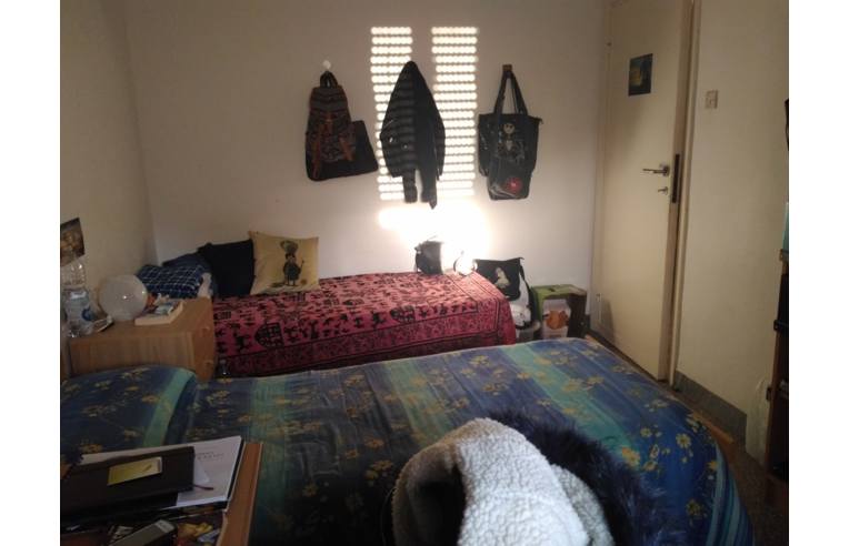 camera singola in affitto a Pisa in zona Quartiere Santa Maria