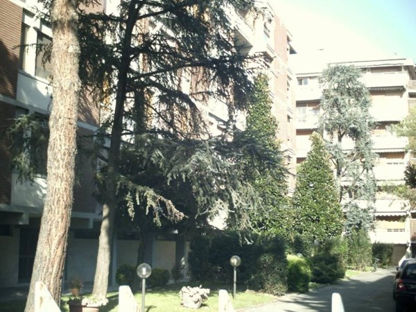 negozio in affitto a Pisa in zona Porta a Lucca