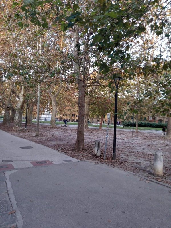 locale commerciale in affitto a Pisa in zona Quartiere San Francesco