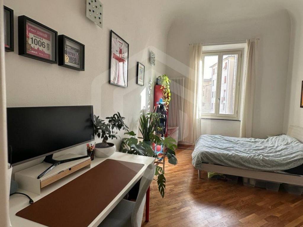 appartamento in affitto a Pisa