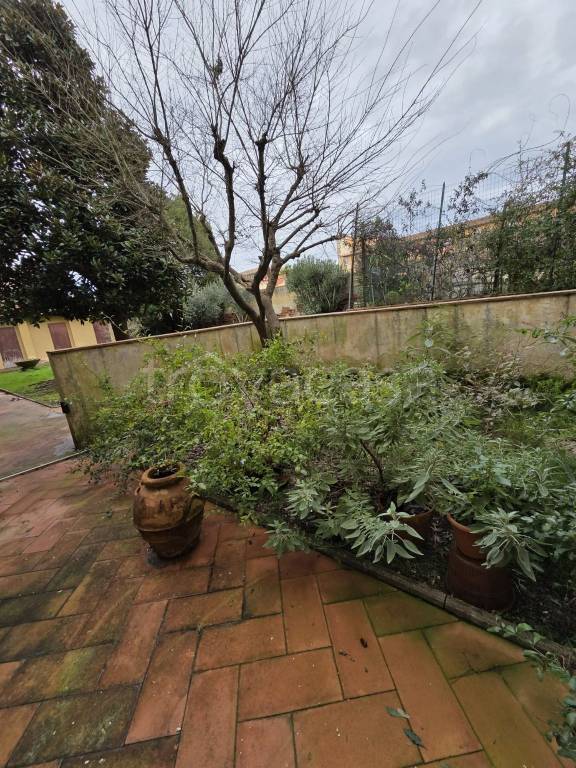 appartamento in affitto a Pisa in zona Centro Storico