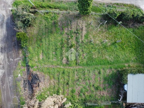 terreno agricolo in affitto a Pisa in zona Barbaricina