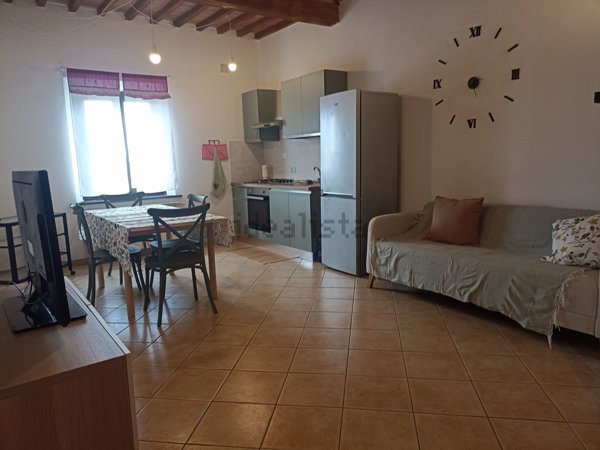 appartamento in affitto a Pisa