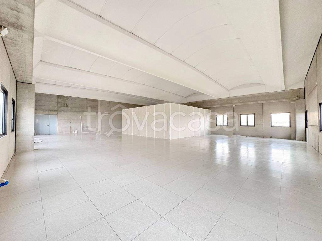 appartamento in affitto a Pisa in zona Ospedaletto