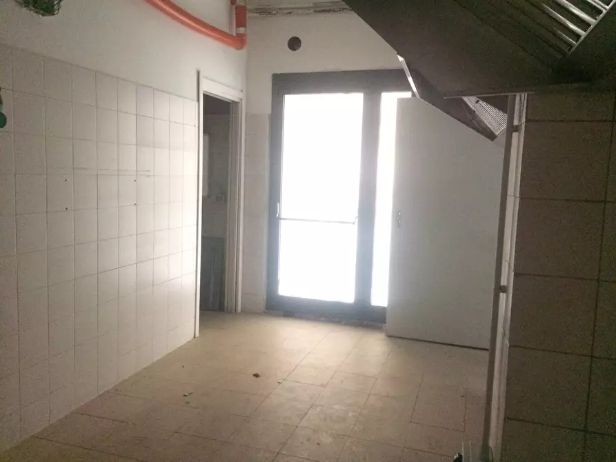 negozio in affitto a Pisa