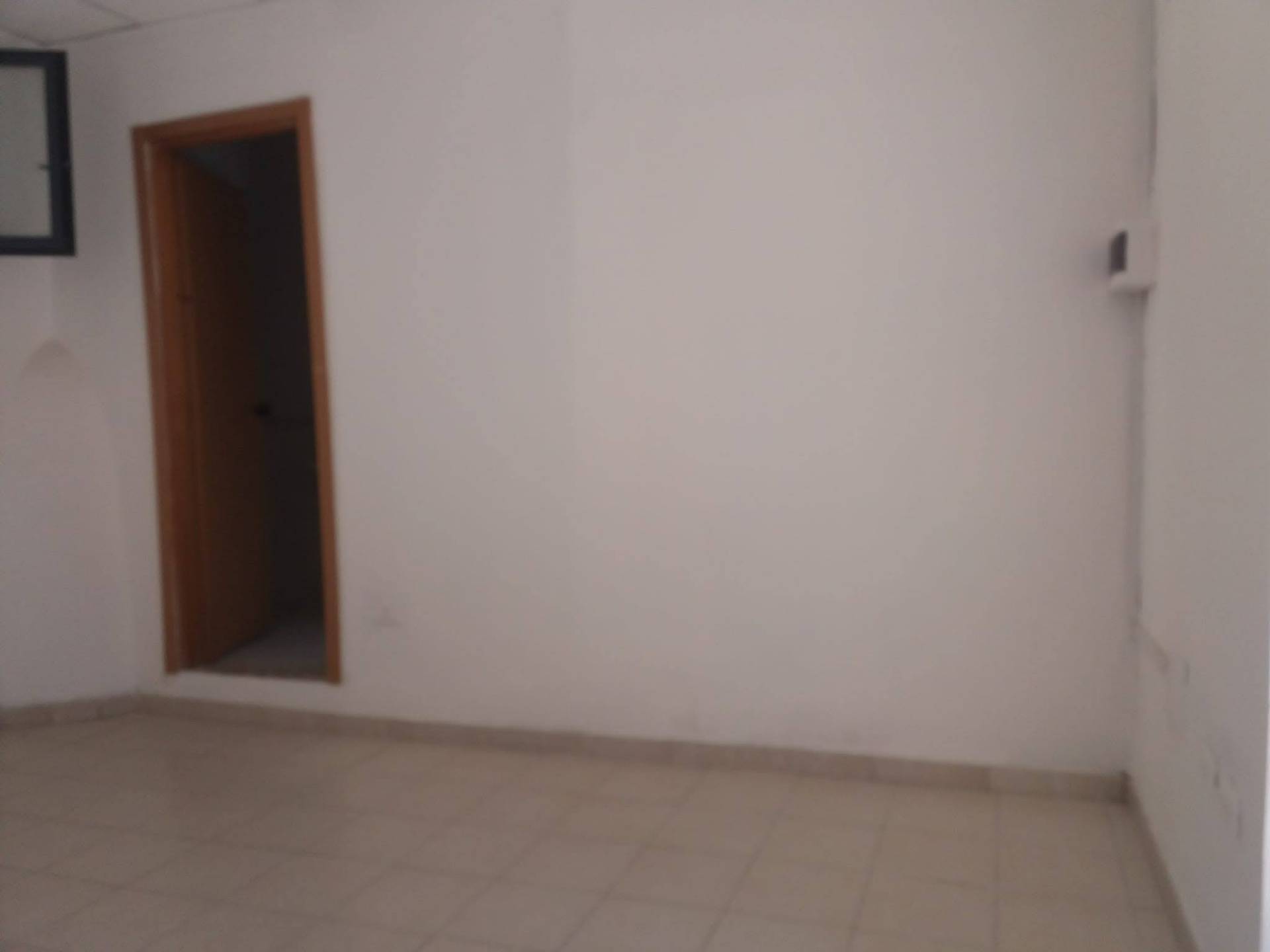 quadrivano in affitto a Pisa in zona Porta Nuova