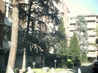 appartamento in affitto a Pisa in zona Centro Storico