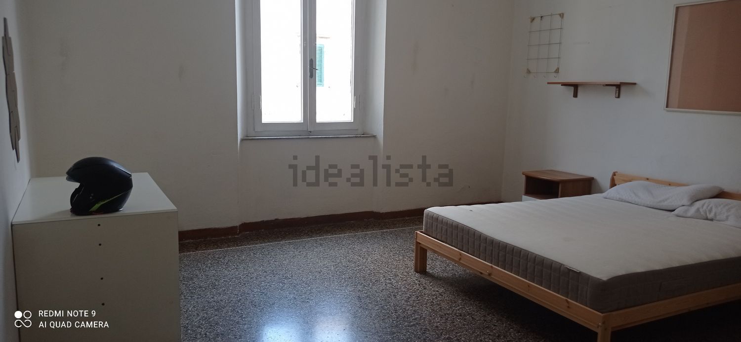 appartamento in affitto a Pisa