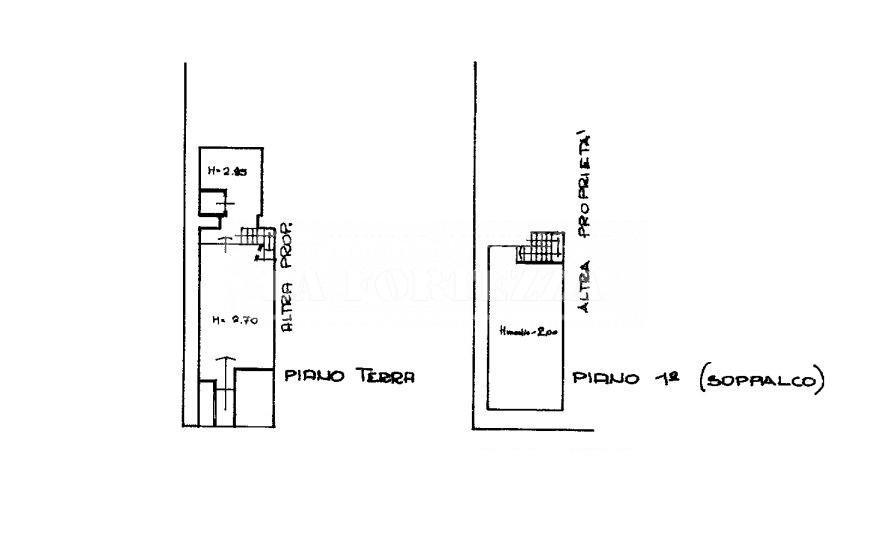locale commerciale in affitto a Pisa