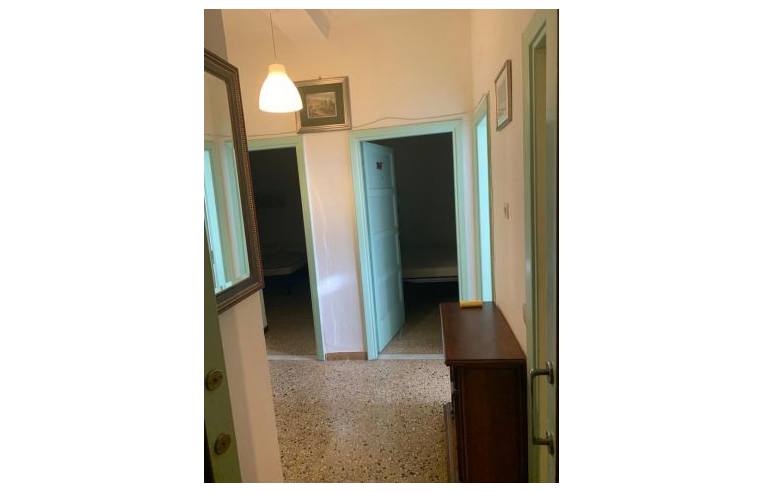 appartamento in affitto a Pisa in zona Porta a Lucca
