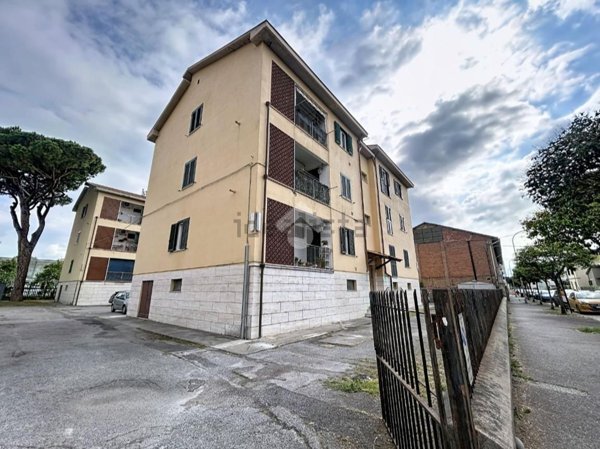 appartamento in affitto a Pisa in zona Quartiere San Giusto