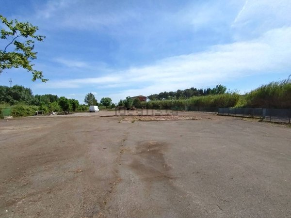 ufficio in affitto a Pisa