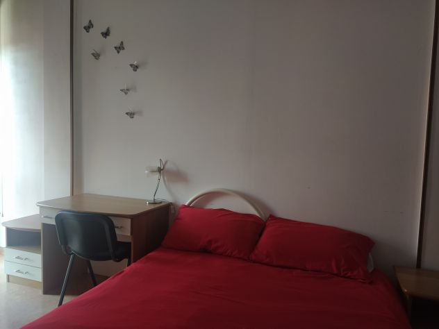 camera singola in affitto a Pisa in zona Centro Storico