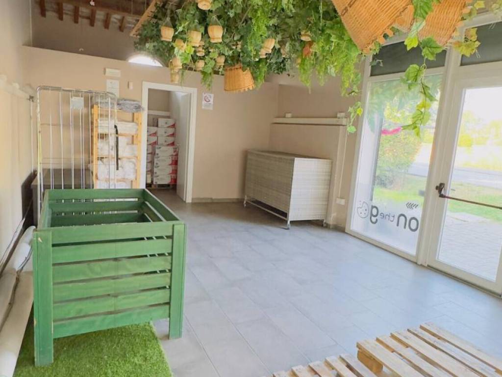 negozio in affitto a Pisa