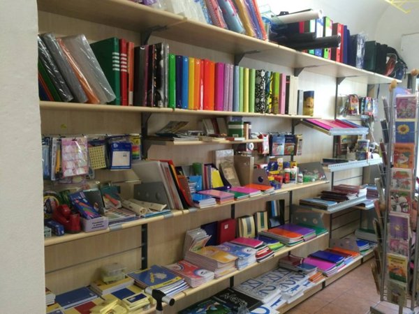 negozio in affitto a Pisa