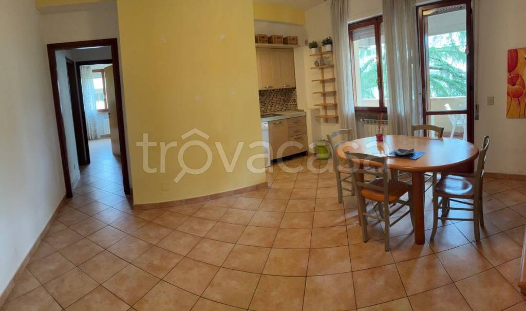 appartamento in affitto a Pisa in zona Cisanello