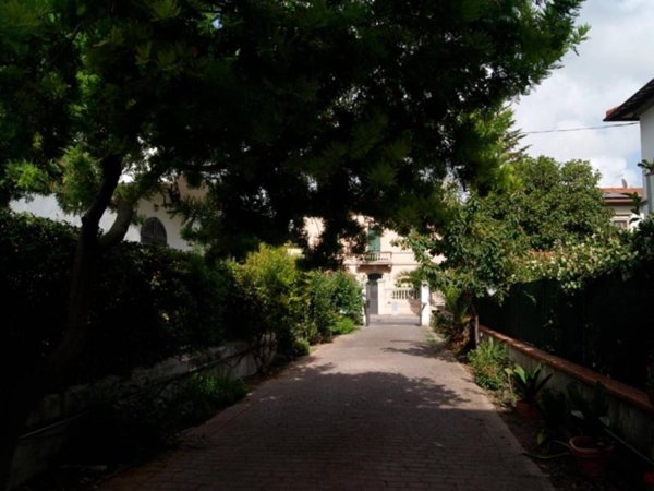 negozio in affitto a Pisa in zona Porta a Lucca