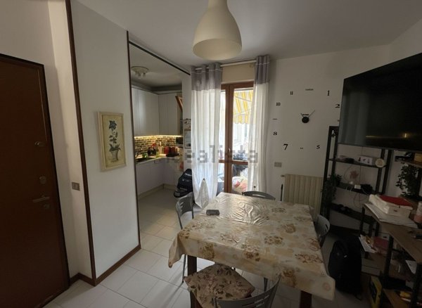 appartamento in affitto a Pisa