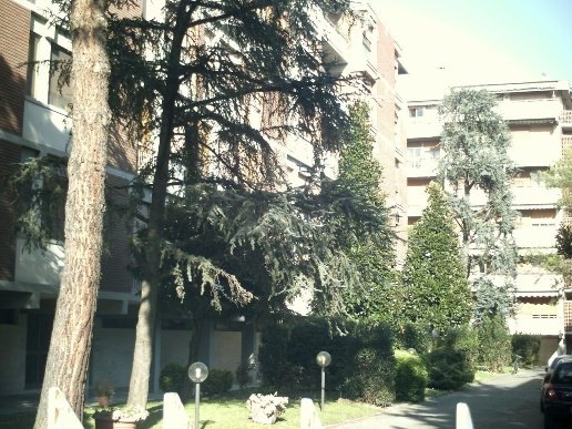 appartamento in affitto a Pisa in zona Porta a Lucca