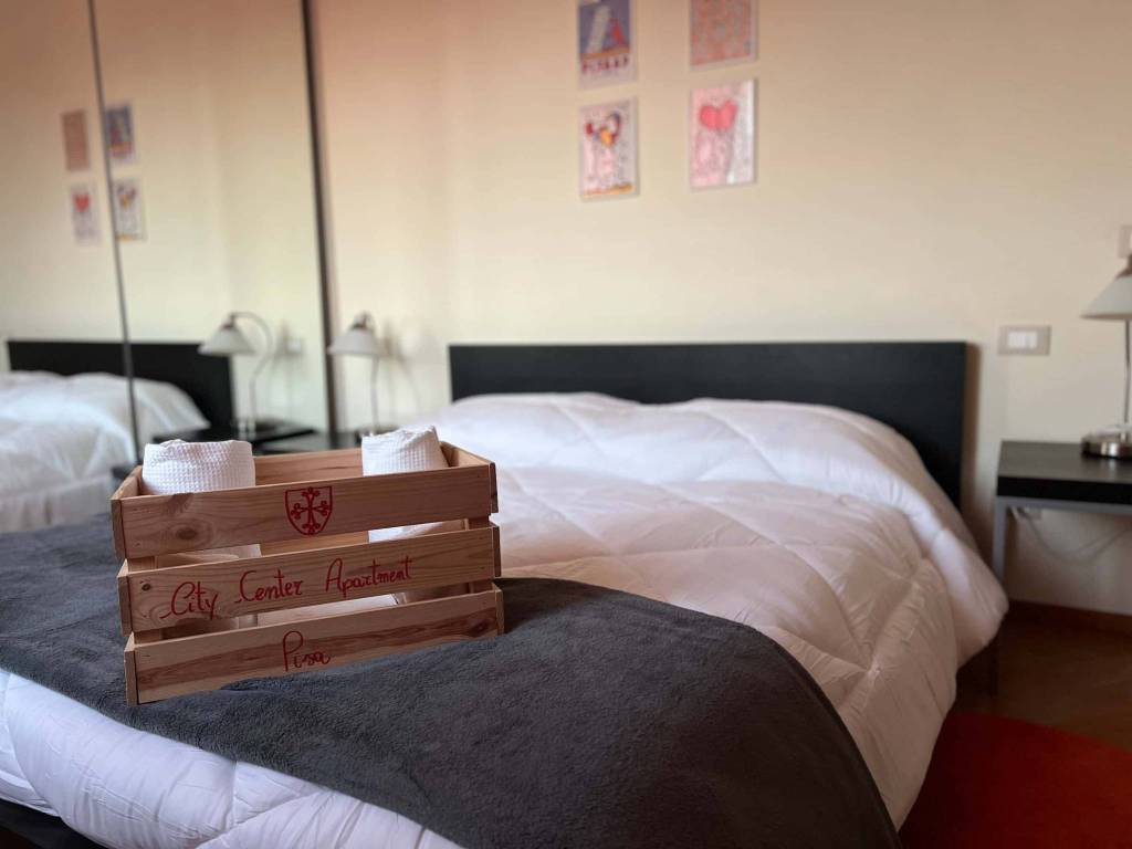 appartamento in affitto a Pisa