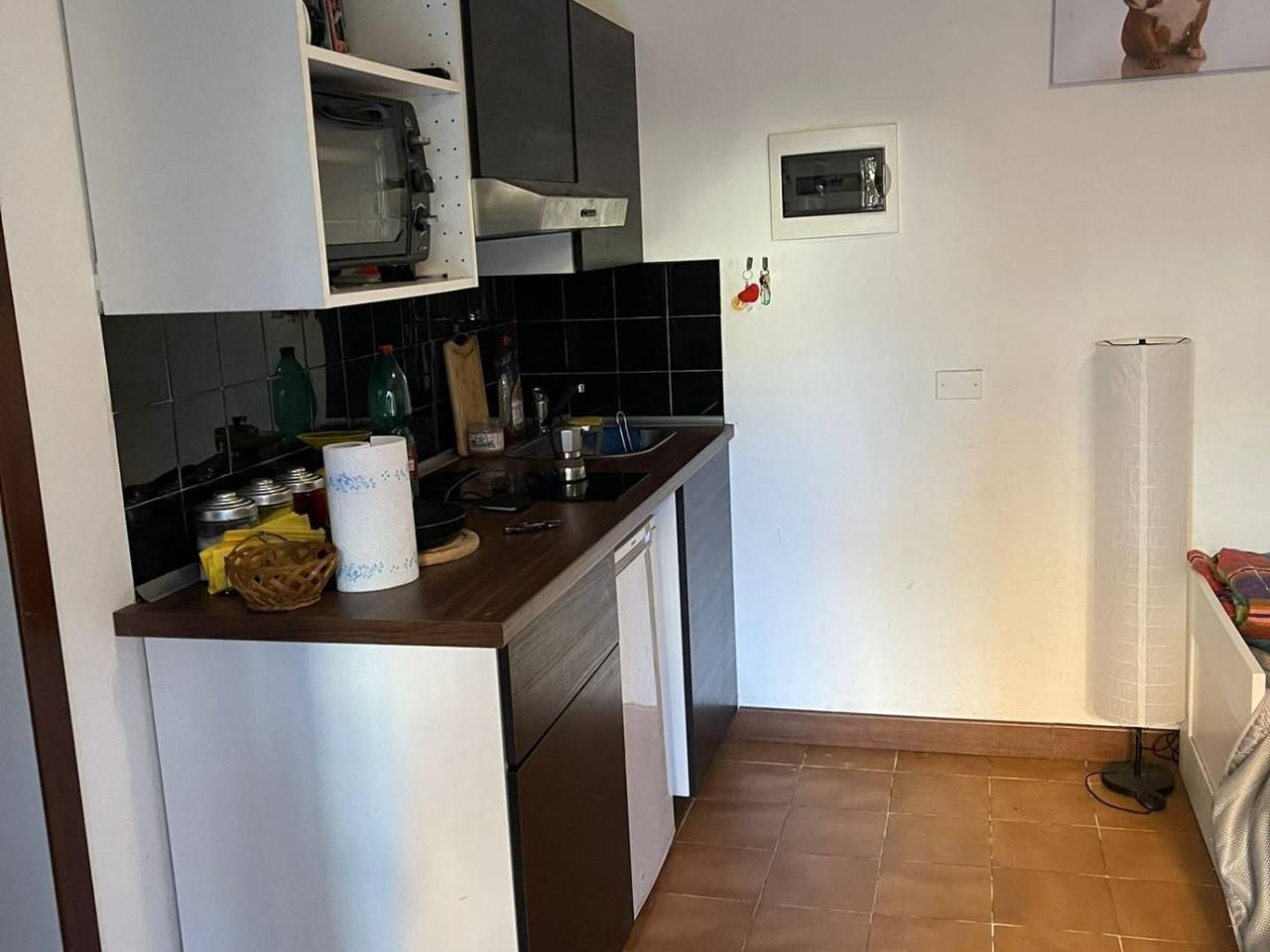 appartamento in affitto a Pisa in zona Barbaricina