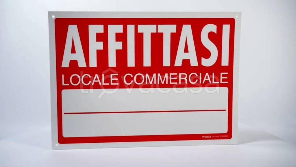 negozio in affitto a Pisa in zona Quartiere Santa Maria
