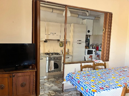 appartamento in affitto a Pisa in zona Barbaricina