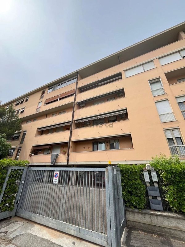 appartamento in affitto a Pisa