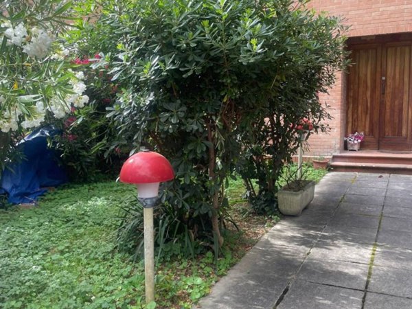 appartamento in affitto a Pisa in zona Lungarni