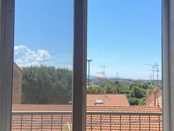 negozio in affitto a Pisa in zona Centro Storico