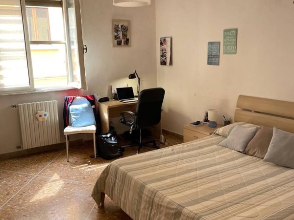 negozio in affitto a Pisa in zona Centro Storico
